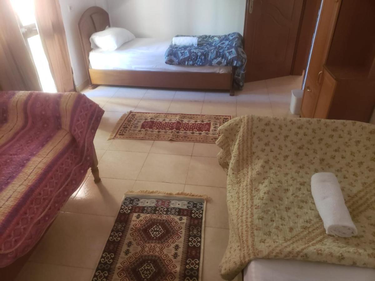Hostel Split Rock Tirana Extérieur photo