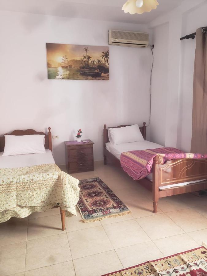Hostel Split Rock Tirana Extérieur photo
