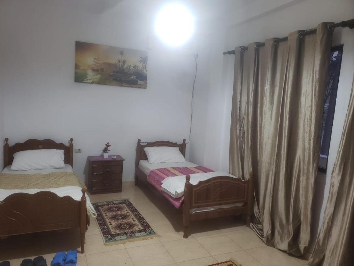 Hostel Split Rock Tirana Extérieur photo